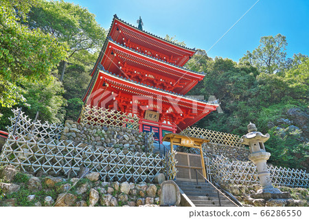 [Gifu Park Triple Tower] Tsutaya, Gifu City, Gifu Prefecture 66286550