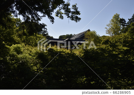 Tsutenbashi Tofukuji 66286905