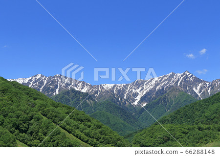 Kashima Yari The early summer Northern Alps seen from the Kurosawa Plateau, Mt. Kashima Yari The early summer Northern Alps seen from the Kurosawa Plateau, Mt. 66288148