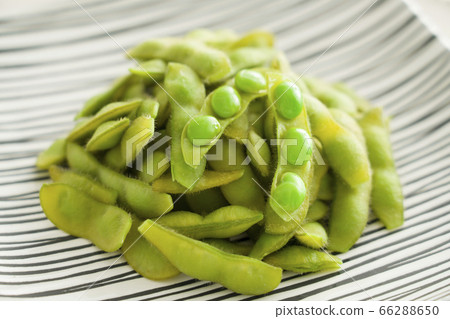Edamame 66288650