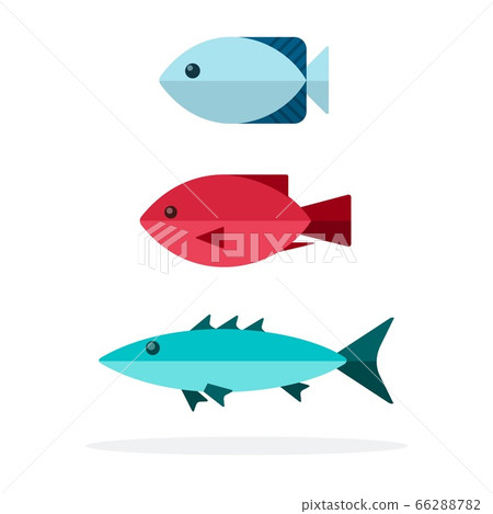 Three different fish species vector icon flat isolated. Three different fish species vector icon flat isolated. 66288782