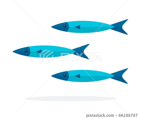 Three thin blue fish vector icon flat isolated. Three thin blue fish vector icon flat isolated. 66288787