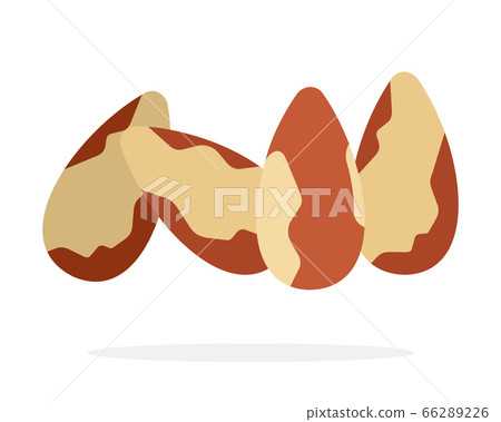 Brazilian nuts Brazilian nuts 66289226
