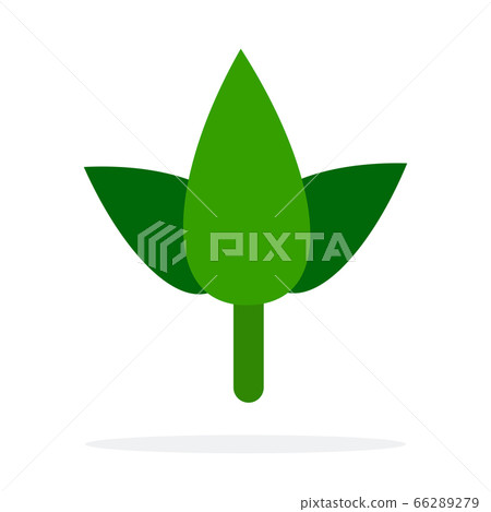 Mint leaves Mint leaves 66289279