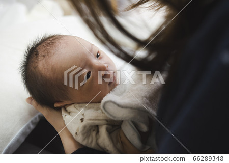 嬰兒凝視 嬰兒凝視 66289348