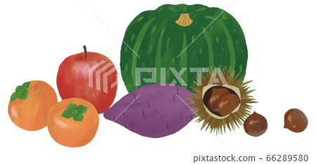 Vegetables, fruits, apples, persimmons, sweet potatoes, chestnuts, pumpkins, hand-painted watercolors Vegetables, fruits, apples, persimmons, sweet potatoes, chestnuts, pumpkins, hand-painted watercolors 66289580