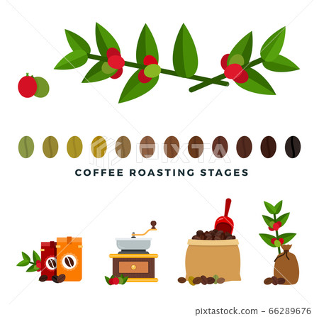 Coffee roasting stages flat style vector illustration. Coffee roasting stages flat style vector illustration. 66289676