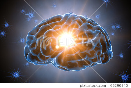 Brain impulses. Neuron system. Human anatomy. transferring pulses and generating information. 3d rendering 66290540