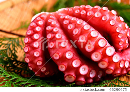 水煮章魚生魚片 66290675