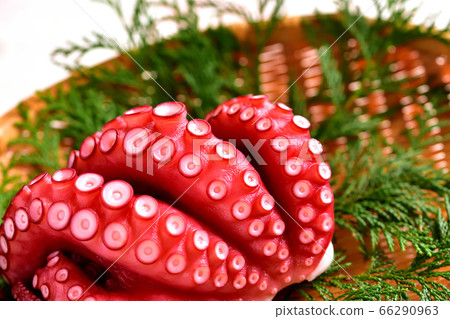 Boiled octopus for sashimi 66290963