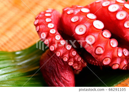 Boiled octopus for sashimi 66291105