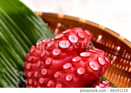 Boiled octopus for sashimi Boiled octopus for sashimi 66291110