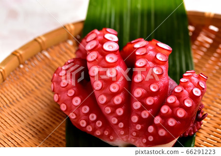 Boiled octopus for sashimi 66291223