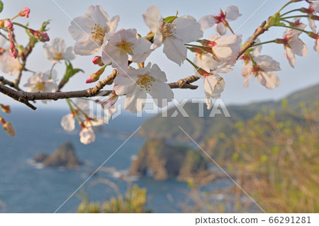 十三個法國公園 66291281