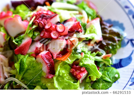 醃製章魚配大量蔬菜 66291533