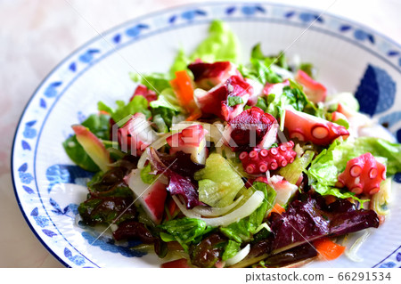 Marinated octopus with plenty of vegetables 66291534