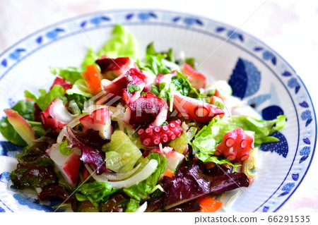 醃製章魚配大量蔬菜 66291535