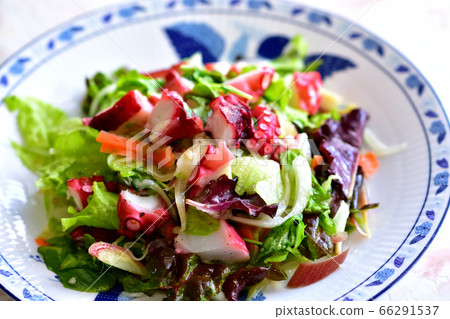 Marinated octopus with plenty of vegetables 66291537