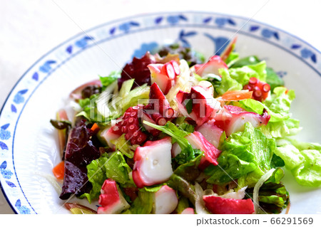 Marinated octopus with plenty of vegetables 66291569