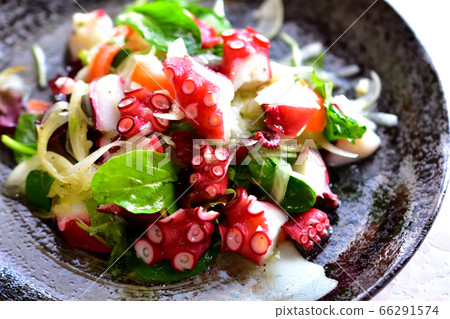 醃製章魚配大量蔬菜 醃製章魚配大量蔬菜 66291574