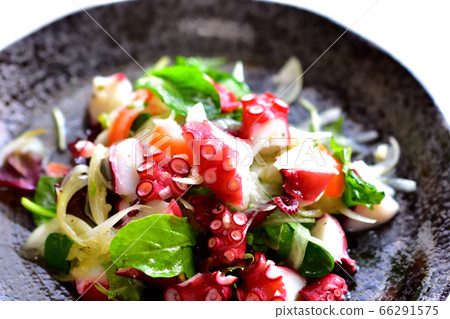 Marinated octopus with plenty of vegetables Marinated octopus with plenty of vegetables 66291575