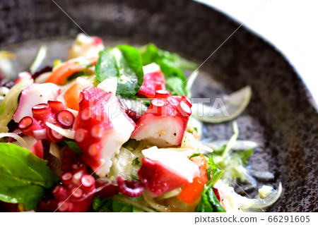 Marinated octopus with plenty of vegetables 66291605