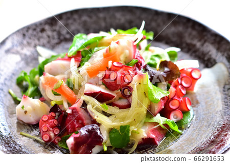 Marinated octopus with plenty of vegetables 66291653