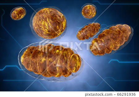 nanorobot and mitochondrion. Medical concept anatomical future. 3d rendering nanorobot and mitochondrion. Medical concept anatomical future. 3d rendering 66291936