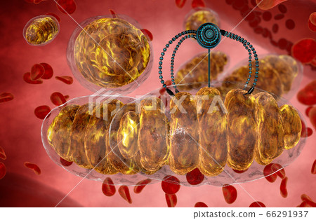nanorobot and mitochondrion. Medical concept anatomical future. Human anatomy, 3d rendering 66291937