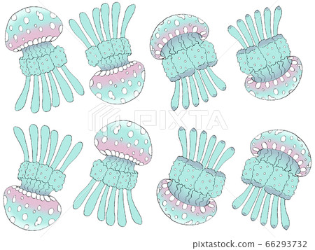 真正的章魚水母淺藍色 66293732