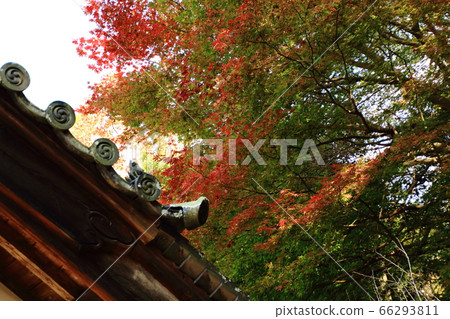 東大寺二津堂 東大寺二津堂 66293811