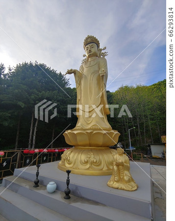 風景,風景名勝,佛,金佛,佛,金閣,信原裡伏都教寺廟,佛節,佛教形象,石塔,燈籠 風景,風景名勝,佛,金佛,佛,金閣,信原裡伏都教寺廟,佛節,佛教形象,石塔,燈籠 66293814