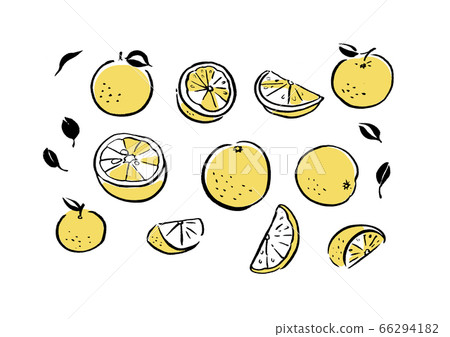 Citron Citron 66294182