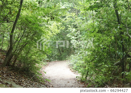 Mountain path 2 66294427