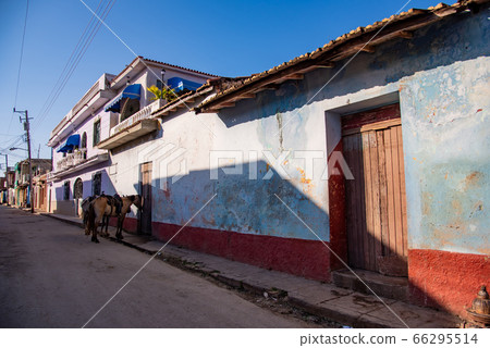 Cuban morning horses on Trinidad carriages Cuban morning horses on Trinidad carriages 66295514
