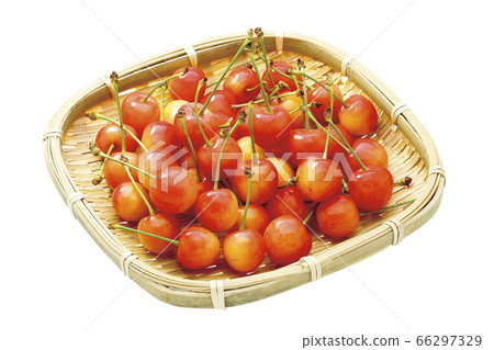 櫻桃_佐藤錦（04） 66297329