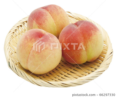 Momo_08（通過） 66297330