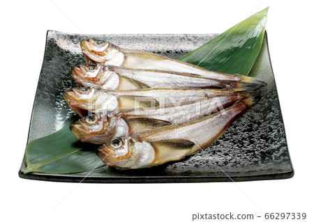 Hata Hata過夜乾燥_07（通過） 66297339