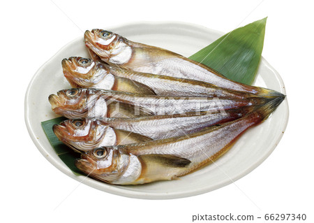 Hata Hata過夜乾燥_06（通過） 66297340