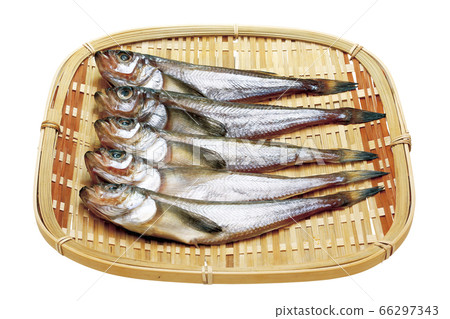 ah羽通宵_03（通過） 66297343