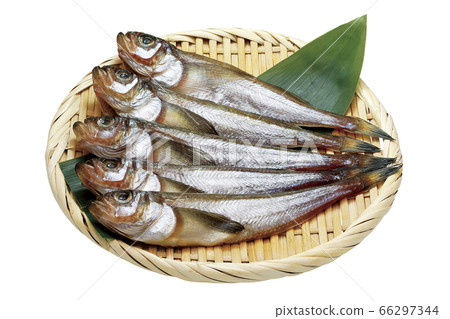 Hatata Hata過夜_02（通過） 66297344