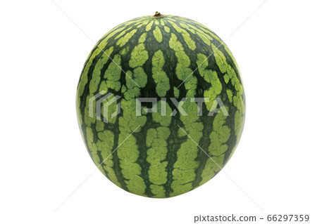 Cream small watermelon_01 (with pass) 66297359