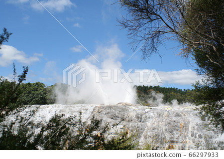 Geyser of Rotorua, New Zealand 66297933