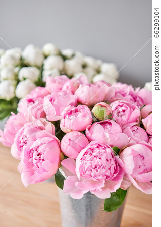 Different varieties of peonies in a metal vases. Beautiful peony flower for catalog or online store. Floral shop concept . Beautiful fresh cut bouquet. Flowers delivery 66299104