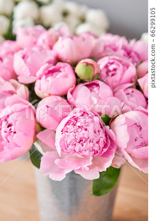 Different varieties of peonies in a metal vases. Beautiful peony flower for catalog or online store. Floral shop concept . Beautiful fresh cut bouquet. Flowers delivery 66299105