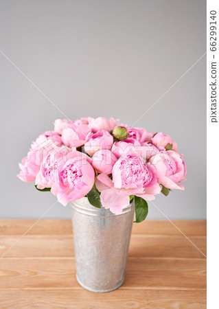 Pink Angel Cheeks peonies in a metal vase. Beautiful peony flower for catalog or online store. Floral shop concept . Beautiful fresh cut bouquet. Flowers delivery Pink Angel Cheeks peonies in a metal vase. Beautiful peony flower for catalog or online store. Floral shop concept . Beautiful fresh cut bouquet. Flowers delivery 66299140