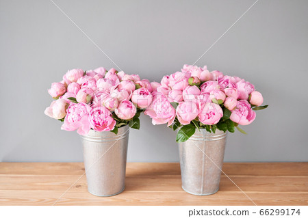 Pink Angel Cheeks Peonies In A Metal Vase Stock Photo 66299174 Pixta