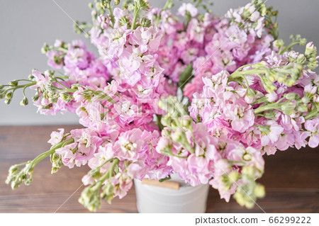 Bouquet of Beautiful lilac mattiola. Spring flowers in vase on wooden table. Flowers delivery. Bouquet of Beautiful lilac mattiola. Spring flowers in vase on wooden table. Flowers delivery. 66299222