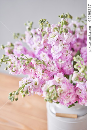 Bouquet of Beautiful lilac mattiola. Spring flowers in vase on wooden table. Flowers delivery. Bouquet of Beautiful lilac mattiola. Spring flowers in vase on wooden table. Flowers delivery. 66299237