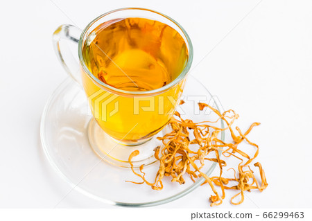 Cordyceps militaris mushroom 66299463